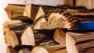 Mérule sur bois de chauffage : comment l'éviter ?